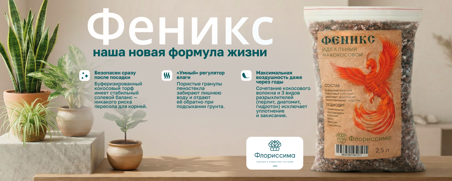 Акция